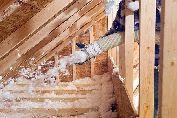 Types of Insulation We Offer in Waialua, HI